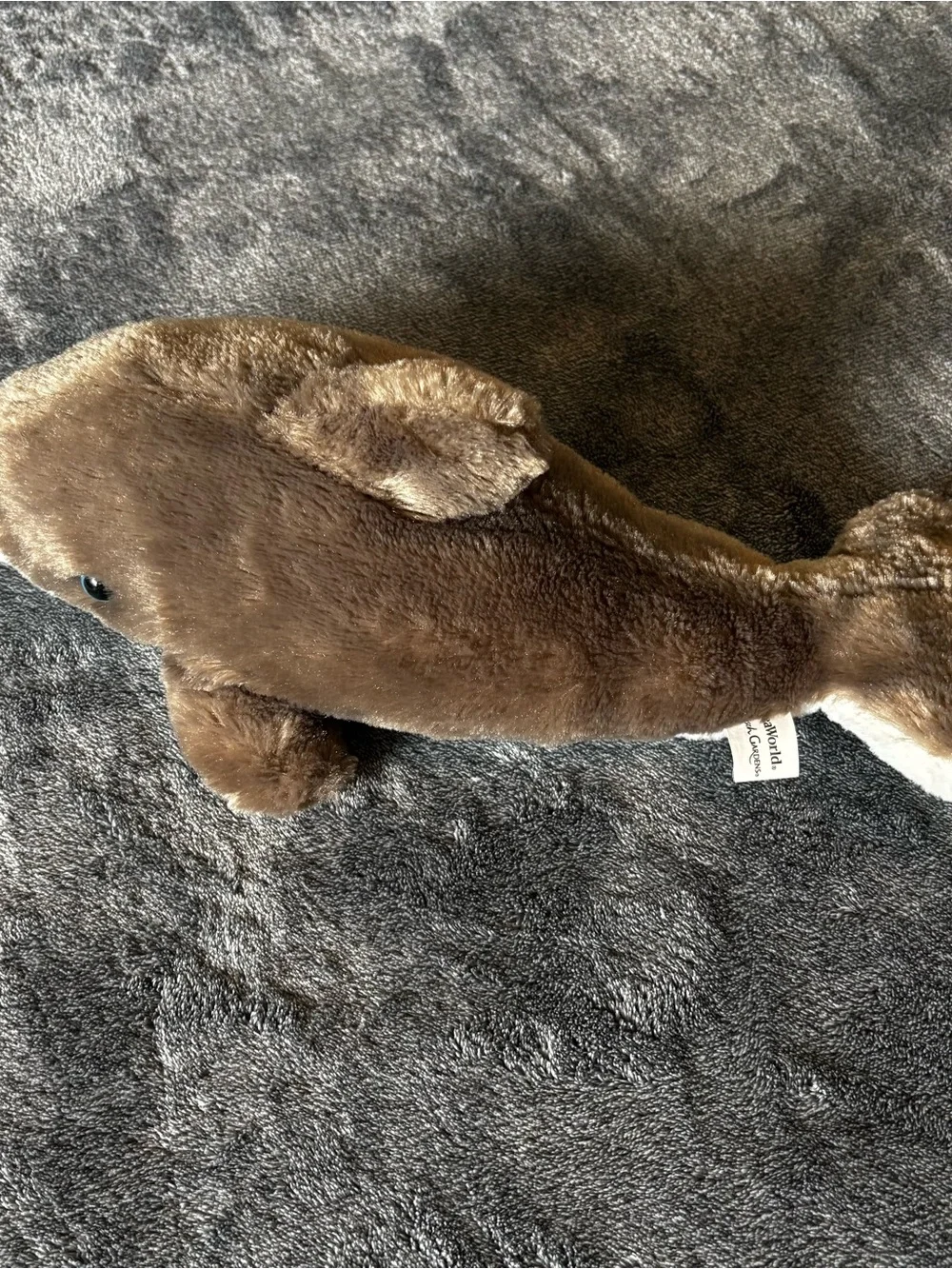 SeaWorld Busch Gardens Dolphin Plush Stuffed Animal